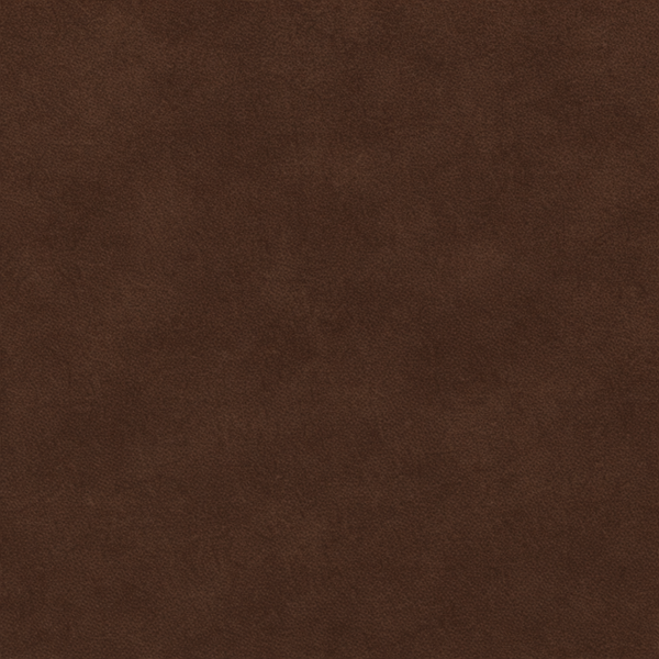 Cocoa