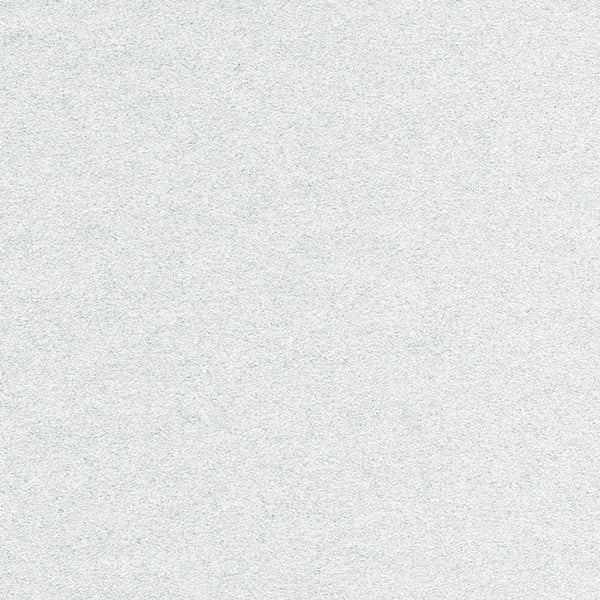 Frosted Silver