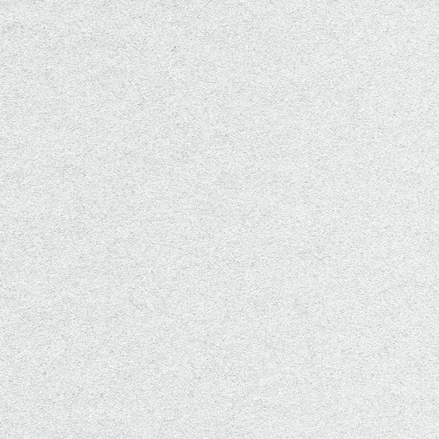 Frosted Silver