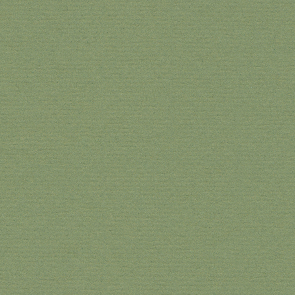 Moss