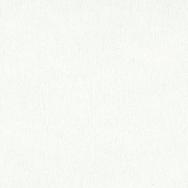 Polar White