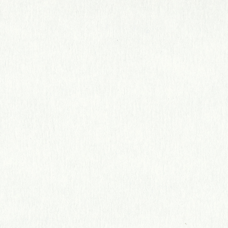 Polar White
