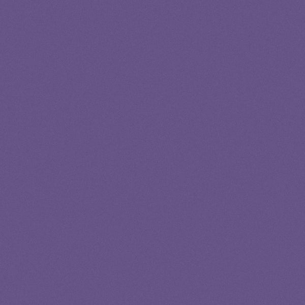Purple Iris