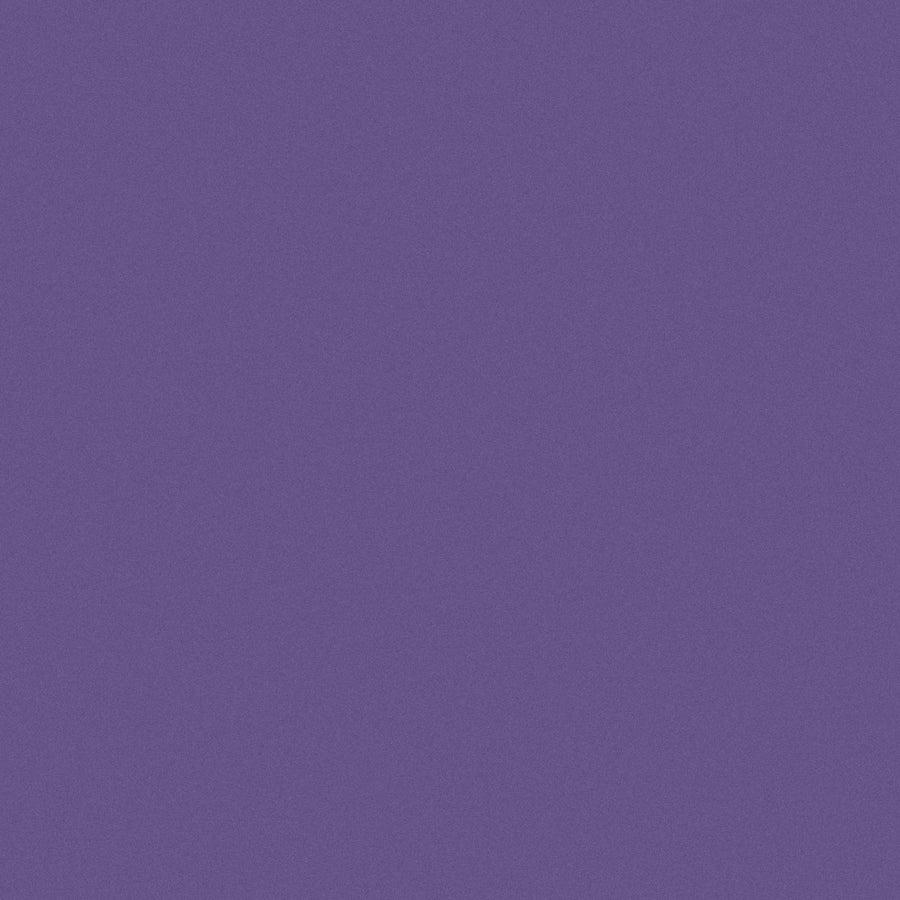 Purple Iris