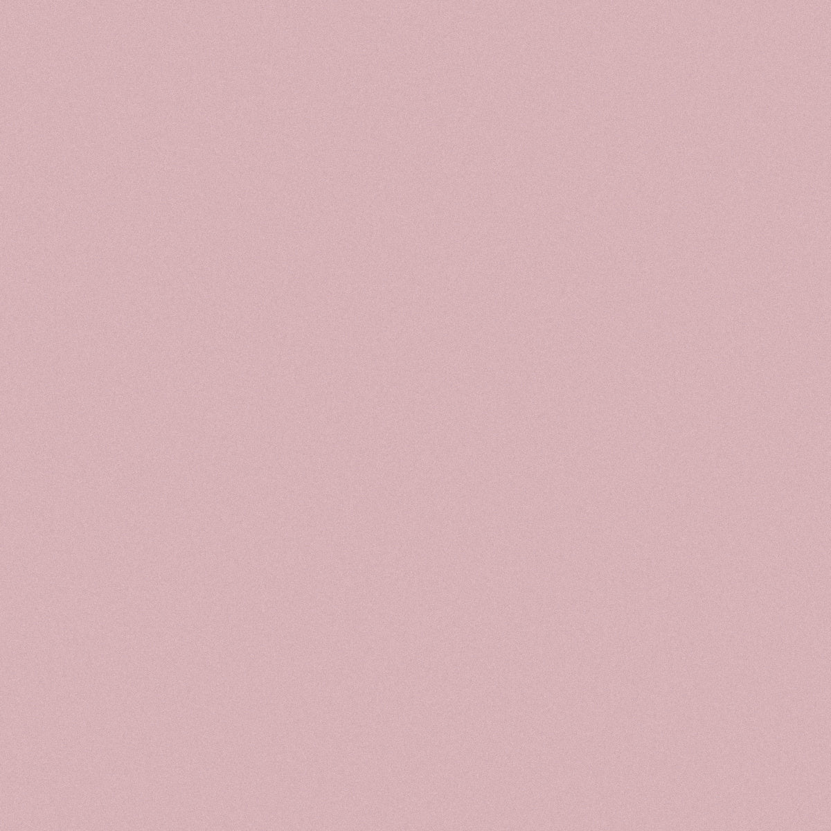 English Rose