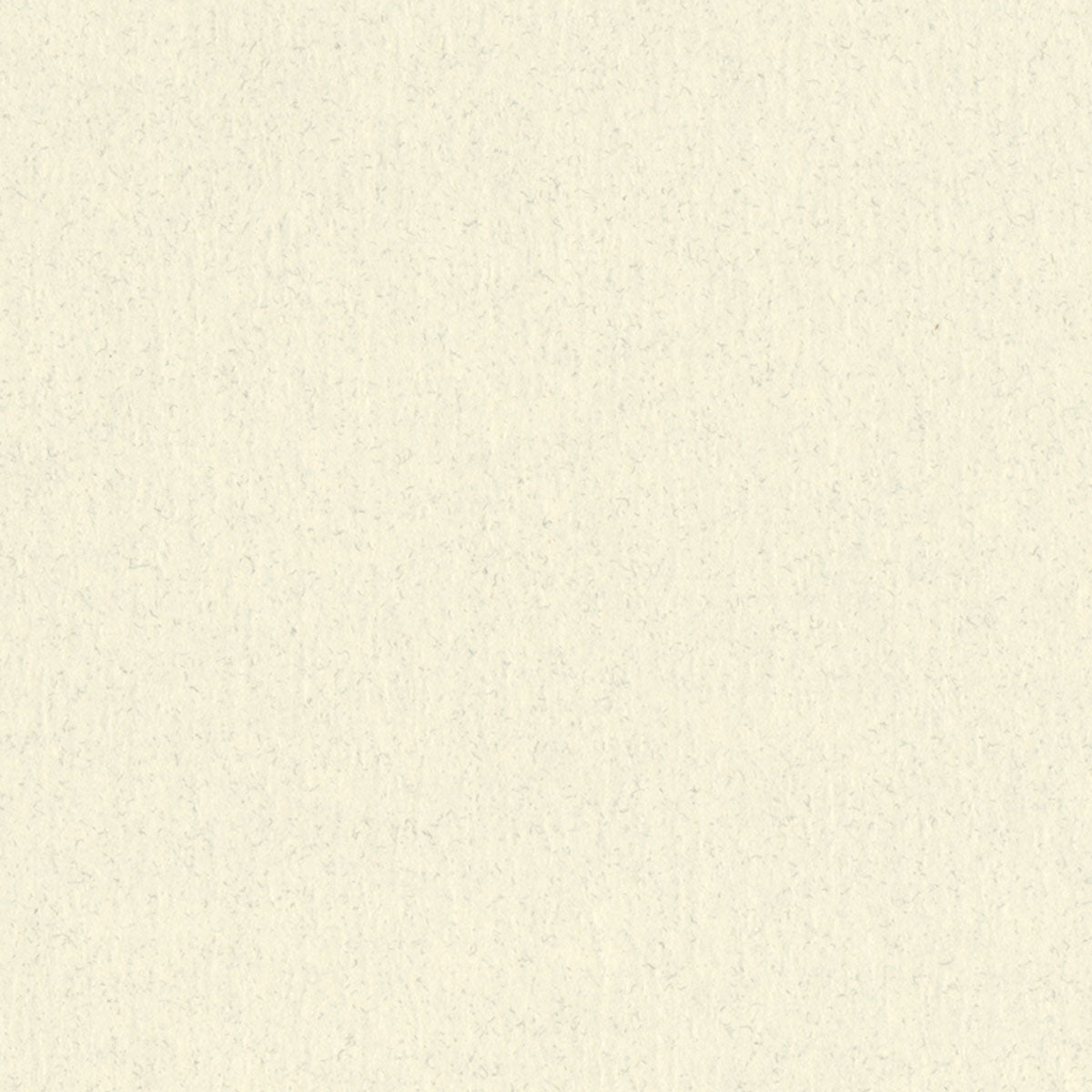 Spice Ivory