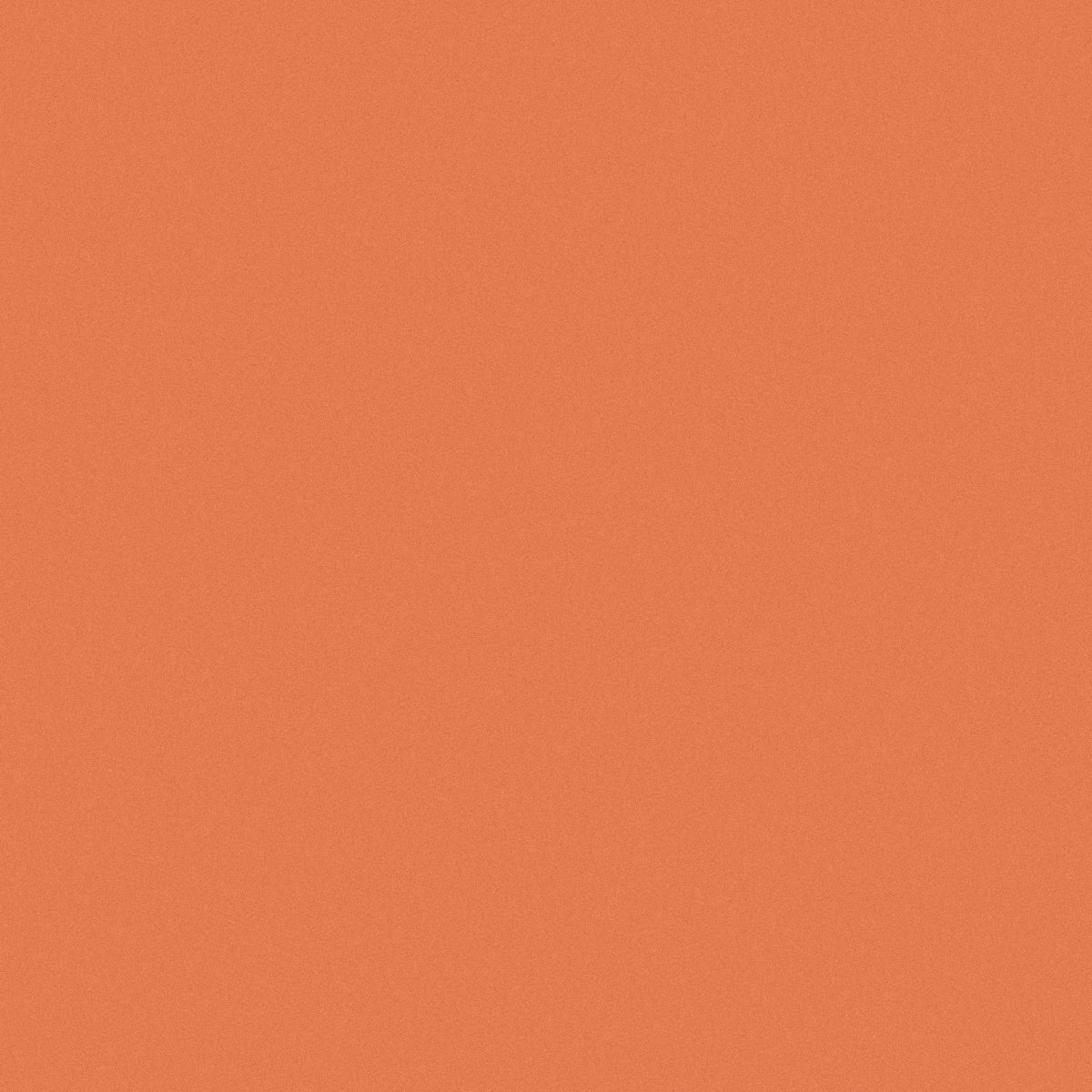 Burnt Orange